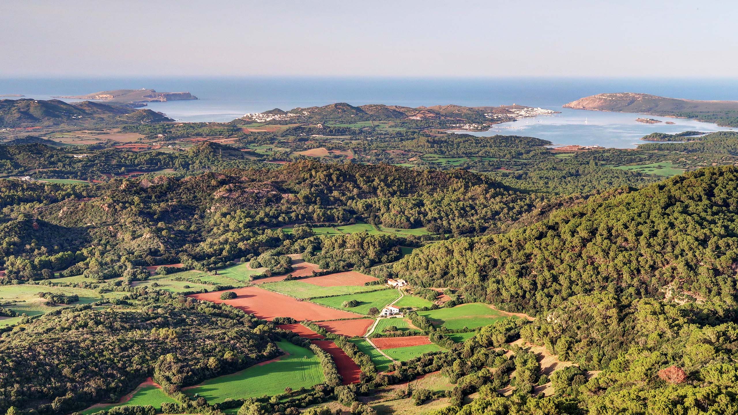 Monte Toro, le point culminant