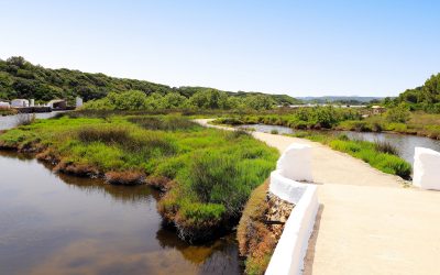 Parque Natural de S’Albufera des Grau: el corazón verde de Menorca